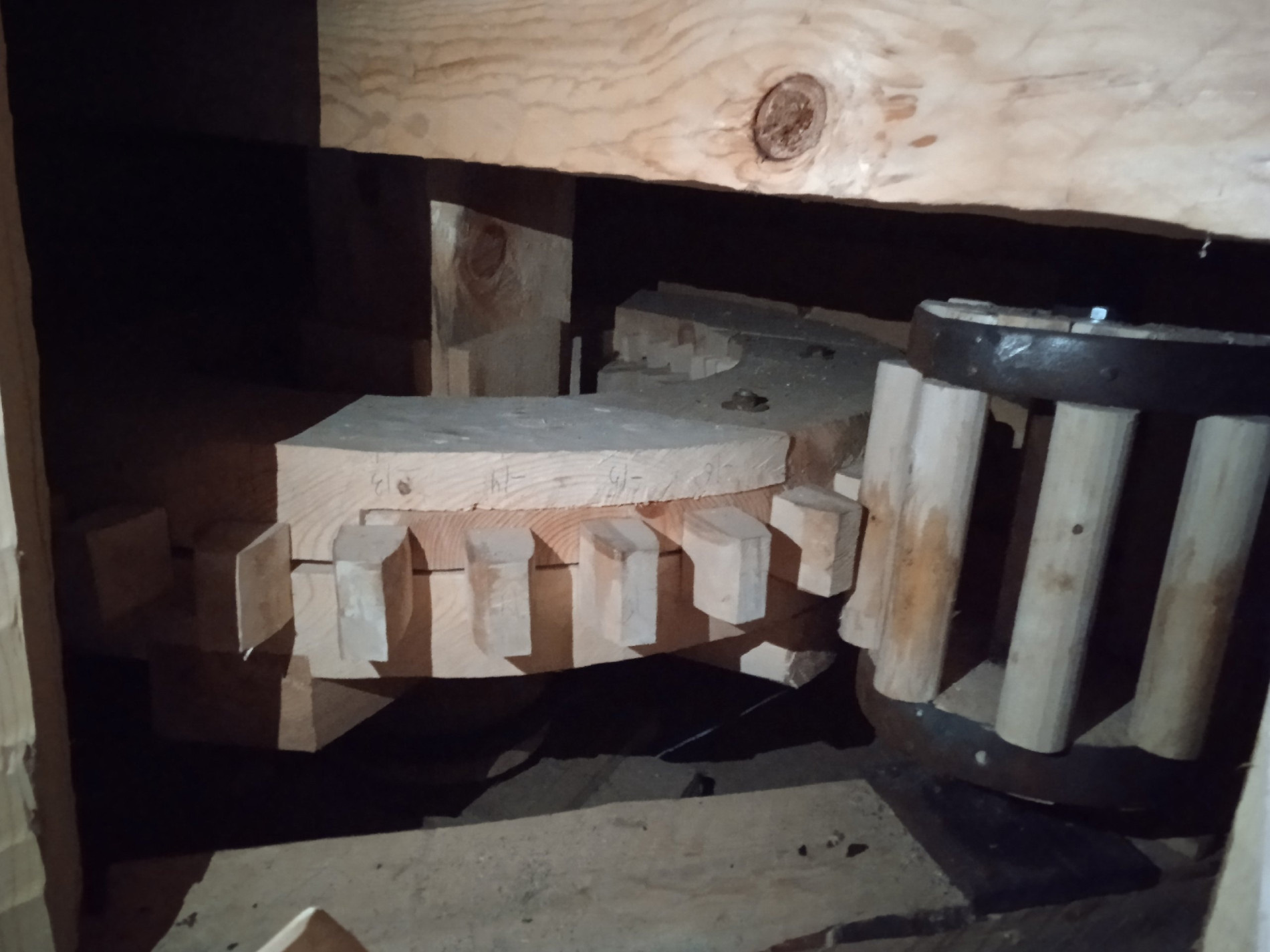 Фото: Елена Кустова